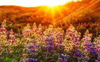 关于爱游戏体育官网的误区我讲透一次：越急越容易中招：30秒快速避坑