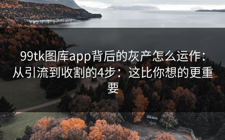 99tk图库app背后的灰产怎么运作：从引流到收割的4步：这比你想的更重要