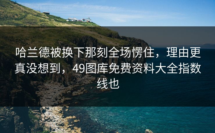 哈兰德被换下那刻全场愣住，理由更真没想到，49图库免费资料大全指数线也