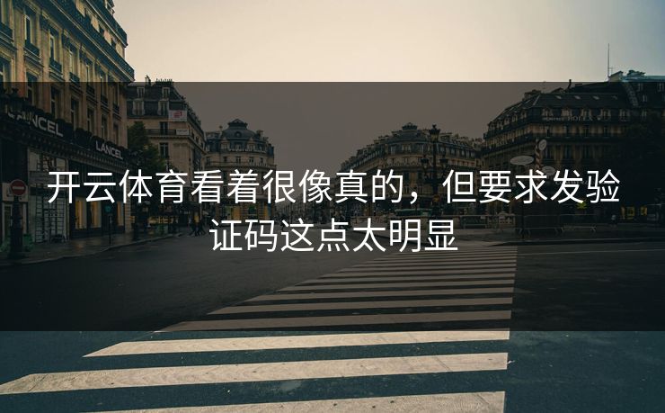 开云体育看着很像真的，但要求发验证码这点太明显